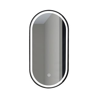 Décor Wonderland Khristy 23.6-in Lighted LED Fog Free Oval Black Framed Bathroom Mirror