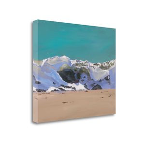 Impression sur toile sans cadre de 40 po x 33 po "Shore Break 1" par Stephen Newstedt de Tangletown Fine Art