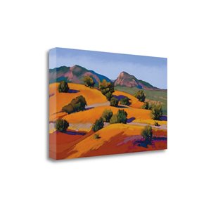 Impression sur toile sans cadre "Juniper Hills"  de 25 po x 40 po par Tangletown Fine Art