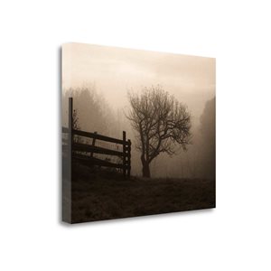 Tangletown Fine Art Frameless 19-in x 24-in "Mountain Meadow Farm" Canvas Print