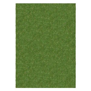 Multy Home Lounge 6-ft x 8-ft Green Rectangular Indoor/Outdoor Rug