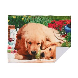 IH Casa Decor Dogs Chewing Ball Microfibre Drying Mat - Set of 2