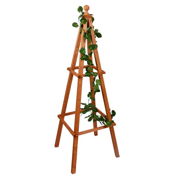 Leisure Season 18-in x 53-in Medium Brown Cypress Wood Obelisk Trellis