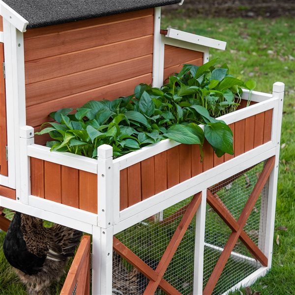 PawHut 44-in Wooden Chicken Coop with Asphalt Roof