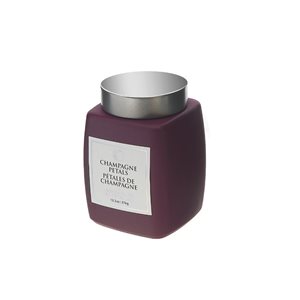 iH casadécor 13.2-oz. Champagne Petals Jar Candles - Set of 2