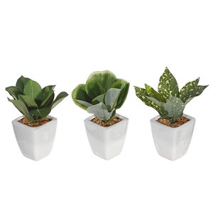 IH Casa Decor 4.75-in Green Artificial Succulent Plants Set of 3