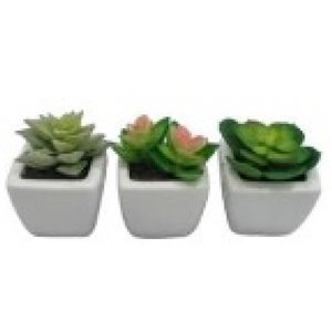 IH Casa Decor 3.55-in Green Artificial Succulent Plants - Set of 3