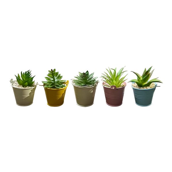IH Casa Decor 3.5-in Assorted Colours Artificial Succulent Plants - Set of 3