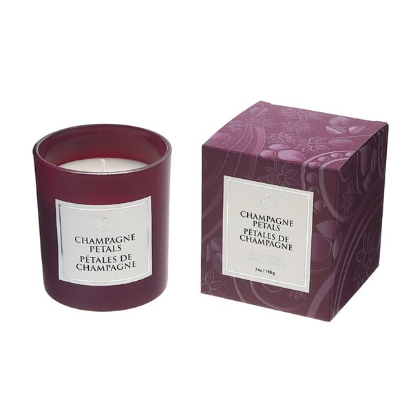 iH casadécor 7-oz. Champagne Petals Jar Candles - Set of 2