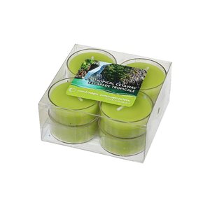 iH casadécor 8-Pack Tropical Getaway Tealight Candles - Set of 2