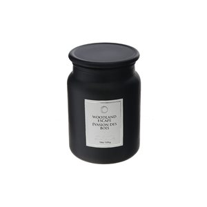 Bougies en pot iH casadécor escapade dans les bois de 19 oz, ensemble de 2