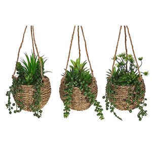 IH Casa Decor 7.1-in Green Artificial Succulent Plants in Hanging Pots - Set of 3