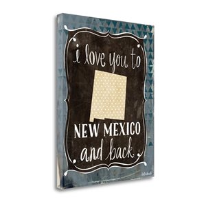 Tangletown Fine Art Frameless 16-in x 20-in Canvas Print - "New Mexico And Back" by Katie Doucette