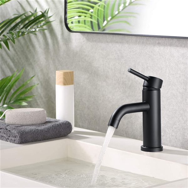 Dornberg 1-Handle Single Hole Bathroom Sink Faucet in Matte Black