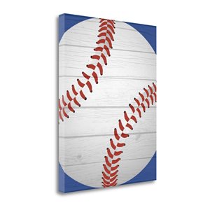 Tangletown Fine Art Frameless 28-in x 22-in Canvas print - "Baseball II" by Tamara Robinson