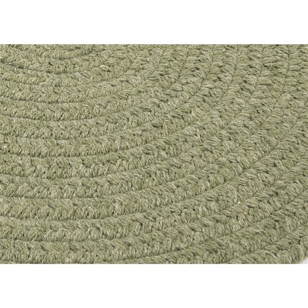 Colonial Mills Bristol Palm 2-ft x 11-ft Oval Indoor Runner