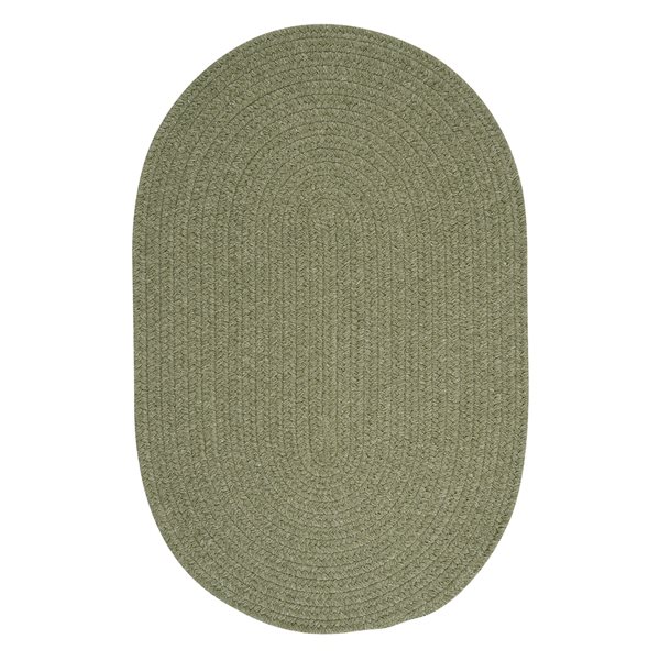 Colonial Mills Bristol Palm 5-ft x 7-ft Oval Indoor Area rug ...