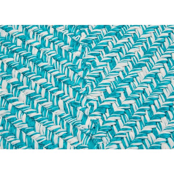 Colonial Mills Catalina Aquatic 6-ft x 9-ft Indoor/Outdoor Rectangular Area rug