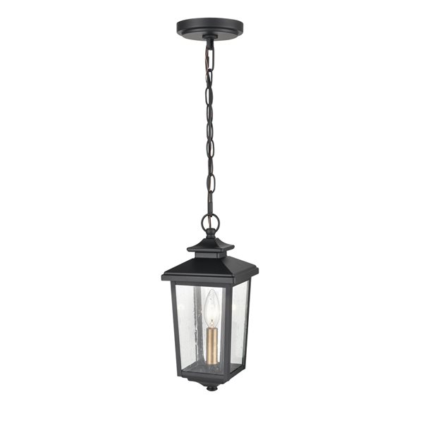 Millennium Lighting Eldrick Powder Coat Black Modern/Contemporary Incandescent Seeded Glass Outdoor Pendant Light