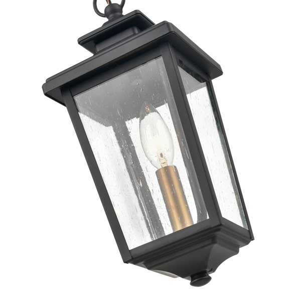 Millennium Lighting Eldrick Powder Coat Black Modern/Contemporary Incandescent Seeded Glass Outdoor Pendant Light