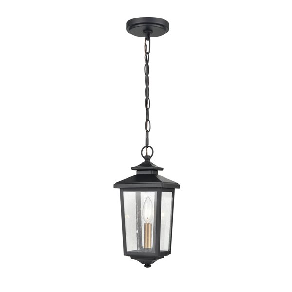 Millennium Lighting Eldrick Powder Coat Black Modern/Contemporary Incandescent Seeded Glass Outdoor Pendant Light