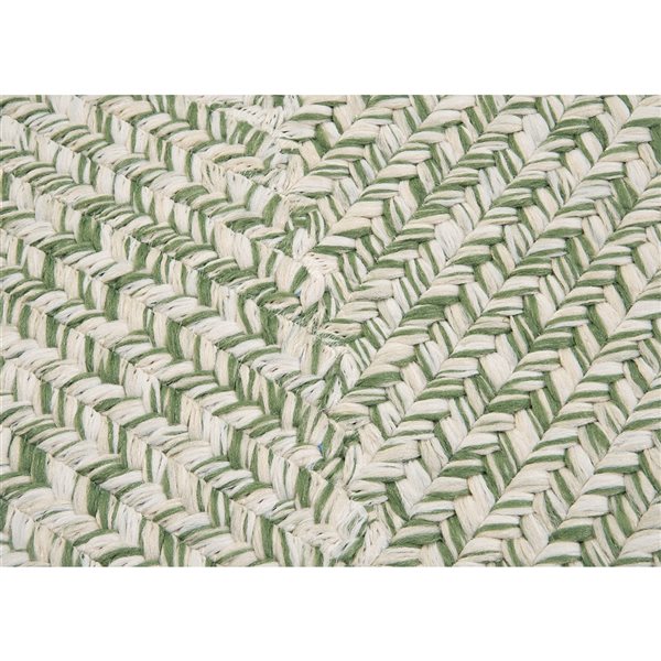 Colonial Mills Catalina 2-ft x 4-ft Greenery Rectangular Area Rug