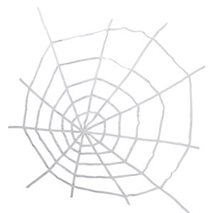 Northlight 80-in Spider Web Wall Decoration