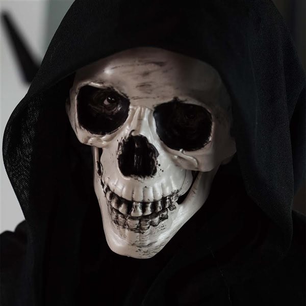 Northlight 36-in Animatronic Lighted Talking Reaper Hanging Decoration