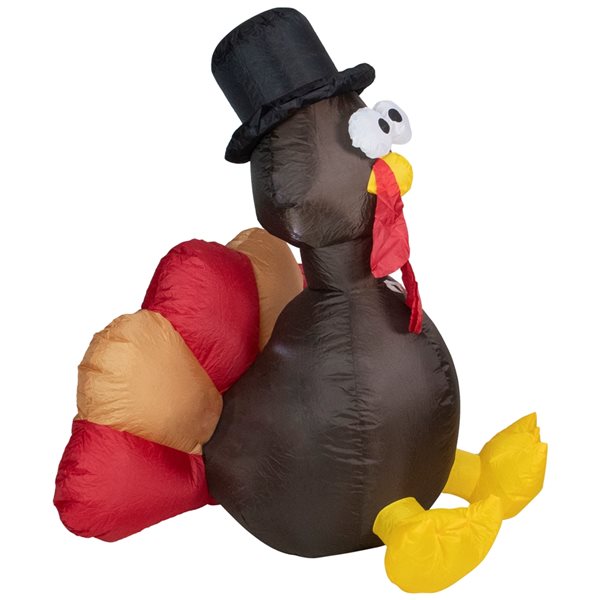 Northlight 6-ft x 6-ft Turkey Internal Light Inflatable