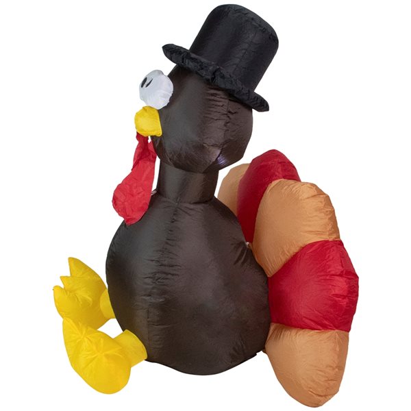 Northlight 6-ft x 6-ft Turkey Internal Light Inflatable