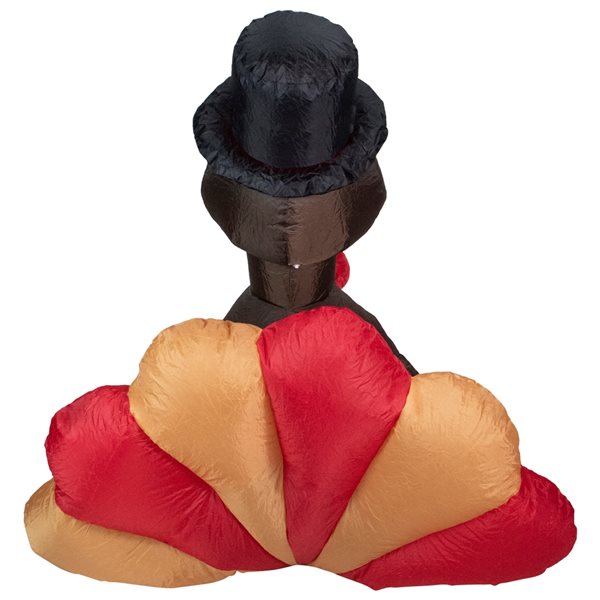 Northlight 6-ft x 6-ft Turkey Internal Light Inflatable