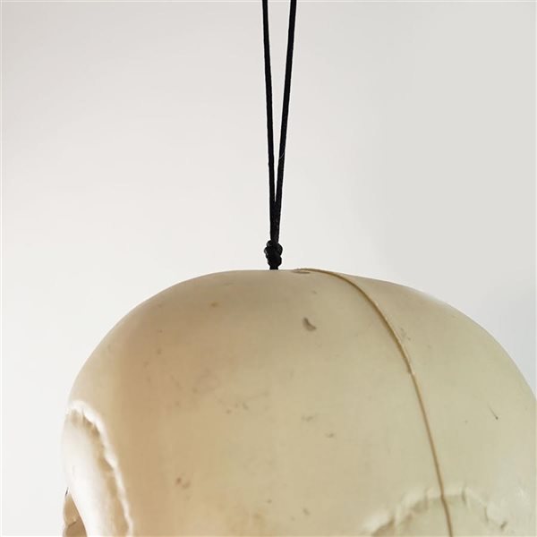 Northlight 5-ft Hanging Skeleton Decoration