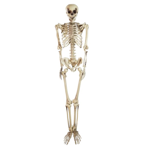 Northlight 5-ft Hanging Skeleton Decoration