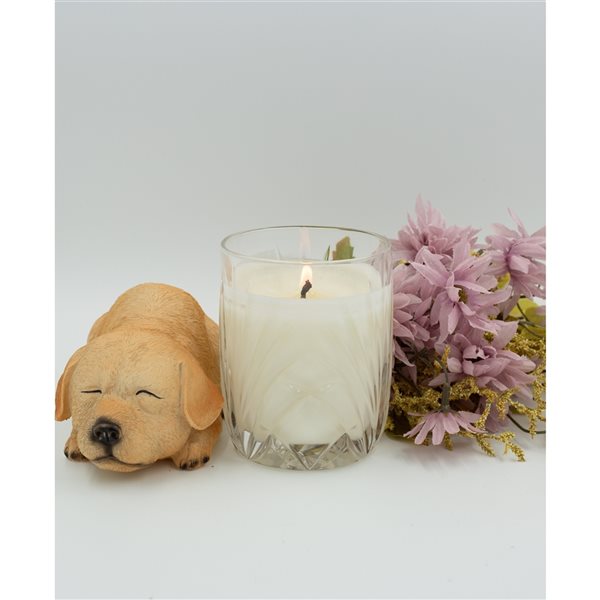 aroma43 Biscayne 1-Wick Essential Oils Jar Candle A43100 | RONA