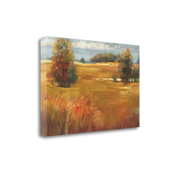 Tangletown Fine Art "October Light" by Carol Rowan 34-in x 23-in Canvas Print