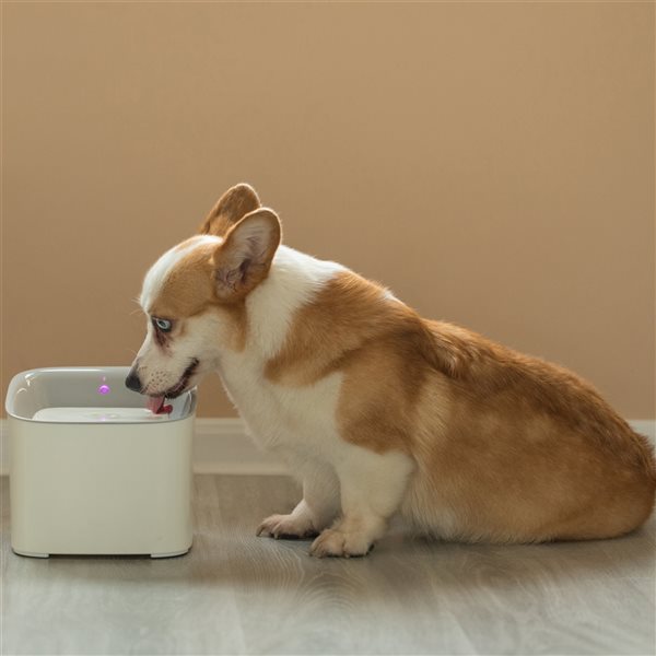 PawsMark Plastic White Motion Sensor Drinking Fountain for Pets