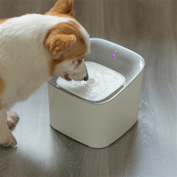 PawsMark Plastic White Motion Sensor Drinking Fountain for Pets