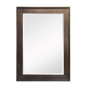 ZipDecor 42-in L x 29.5-in W Gold Rectangle Framed Wall Mirror