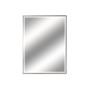 ZipDecor 42-in L x 29.5-in W Rectangle Silver Framed Wall Mirror