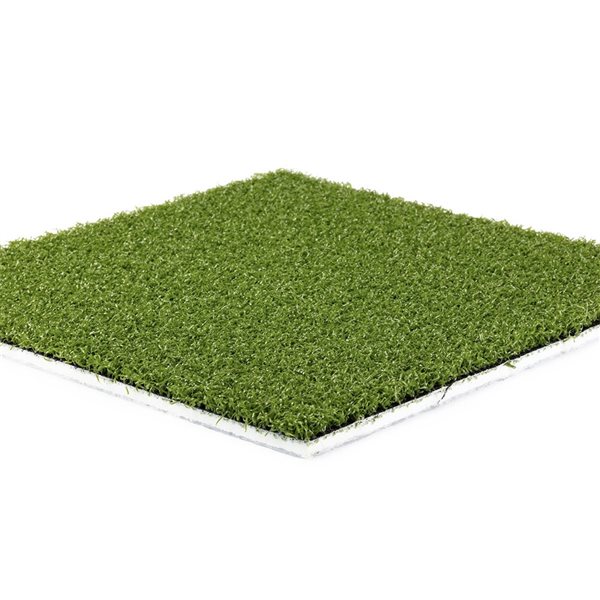 Green As Grass Performance Pro 8-ft x 3-ft Artificial Grass