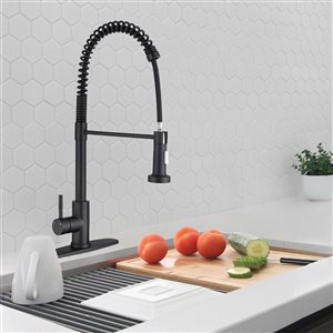 Wellfor Matte Black 1-Handle Deck Mount Pull-Out Kitchen Faucet