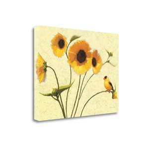 Tangletown Fine Art "Sunny Flowers IV" by Shirley Novak Frameless 17-in x 23-in Canvas Print