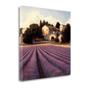 Tangletown Fine Art "Lavender Fields I" by James Wiens 24-in H x 24-in W Canvas Print