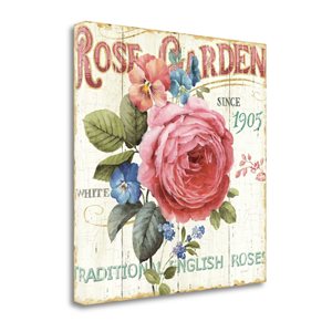 Tangletown Fine Art Frameless 25-in x 25-in "Rose Garden I" by Lisa Audit Canvas Print