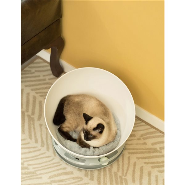 PawsMark Velvet Cat Bed with Ball Tray