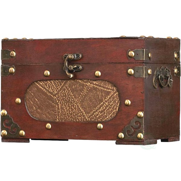 Coffre de rangement Vintiquewise en bois brun antique de 8,5 po QI003015