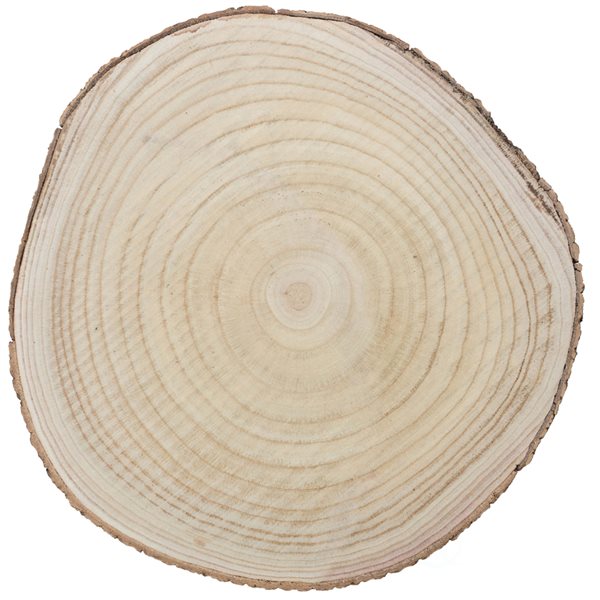 Vintiquewise 18-in x 18-in Round Brown Wooden Log Serving Tray