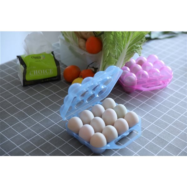 Basicwise Blue Plastic Egg Tray