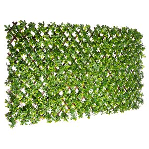 Naturae Decor 72-in W x 36-in H Expandable PVC Schefflera Garden Trellis