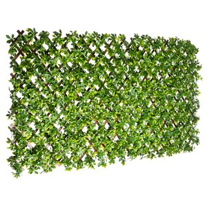 Naturae Decor 72-in W x 36-in H Expandable PVC Schefflera Garden Trellis - Pack of 6